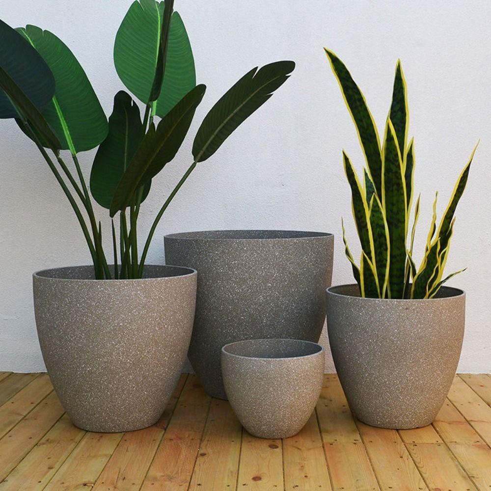 Buzlu İmitasyon Taş Bonsai Sak - 3D Printing Pot incelemesi ve fiyatı