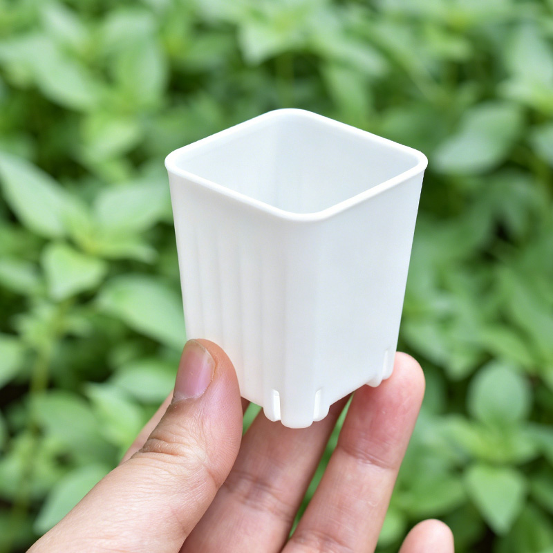 50-100 adet 4cm Mini kalın bey - 3D Printing Pot incelemesi ve fiyatı