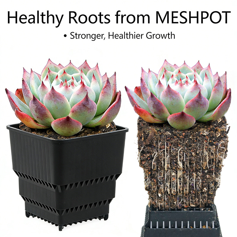 MESHPOT 6'lı Paket Kare Saksıl - 3D Printing Pot incelemesi ve fiyatı