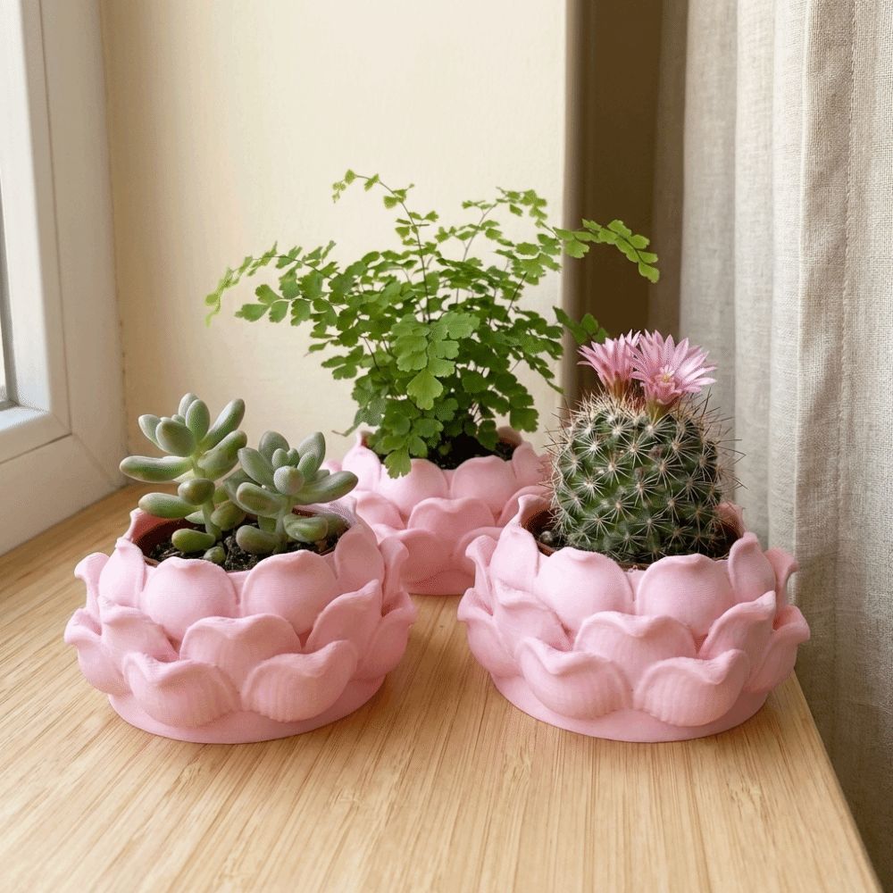 Lotus Şeklinde Sukulent Bitki  - 3D Printing Pot incelemesi ve fiyatı